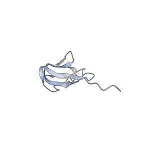 22466_7jt1_w_v1-1
70S ribosome stalled on long mRNA with ArfB-1 and ArfB-2 bound (+9-III)