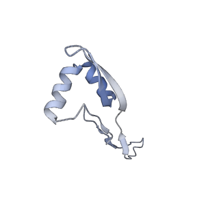22466_7jt1_x_v1-0
70S ribosome stalled on long mRNA with ArfB-1 and ArfB-2 bound (+9-III)