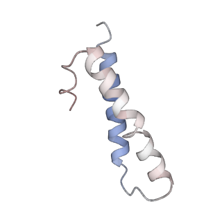 22466_7jt1_y_v1-0
70S ribosome stalled on long mRNA with ArfB-1 and ArfB-2 bound (+9-III)