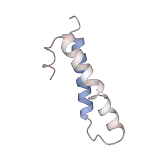 22466_7jt1_y_v1-1
70S ribosome stalled on long mRNA with ArfB-1 and ArfB-2 bound (+9-III)