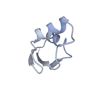 22466_7jt1_z_v1-1
70S ribosome stalled on long mRNA with ArfB-1 and ArfB-2 bound (+9-III)