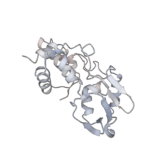 22469_7jt2_I_v1-0
70S ribosome stalled on long mRNA with ArfB bound in the A site