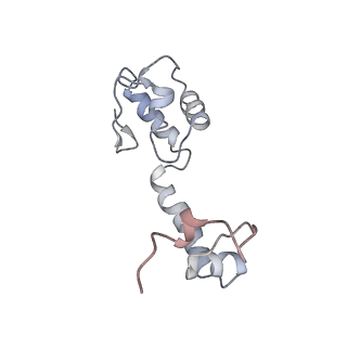 22469_7jt2_R_v1-0
70S ribosome stalled on long mRNA with ArfB bound in the A site