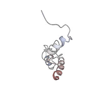 22469_7jt2_S_v1-0
70S ribosome stalled on long mRNA with ArfB bound in the A site