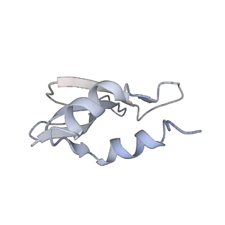 22469_7jt2_U_v1-0
70S ribosome stalled on long mRNA with ArfB bound in the A site