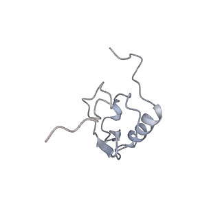 22469_7jt2_X_v1-0
70S ribosome stalled on long mRNA with ArfB bound in the A site