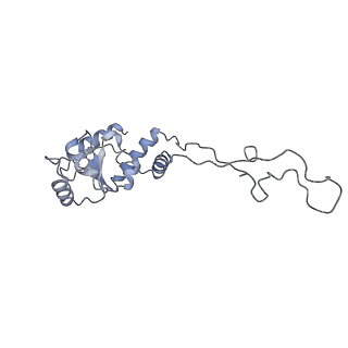 22469_7jt2_d_v1-0
70S ribosome stalled on long mRNA with ArfB bound in the A site