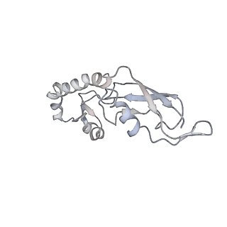 22469_7jt2_g_v1-0
70S ribosome stalled on long mRNA with ArfB bound in the A site