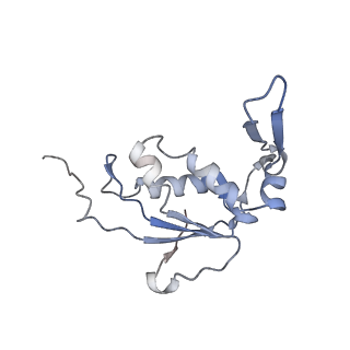 22469_7jt2_j_v1-0
70S ribosome stalled on long mRNA with ArfB bound in the A site