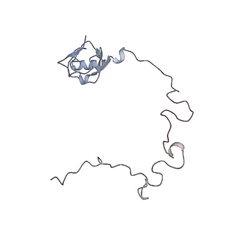 22469_7jt2_l_v1-0
70S ribosome stalled on long mRNA with ArfB bound in the A site