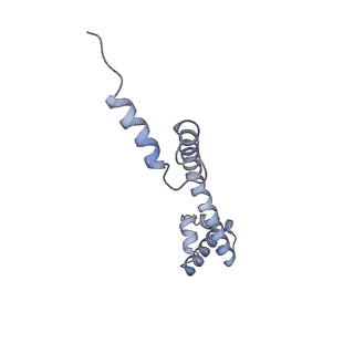 22469_7jt2_q_v1-0
70S ribosome stalled on long mRNA with ArfB bound in the A site