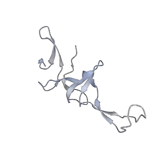 22469_7jt2_u_v1-0
70S ribosome stalled on long mRNA with ArfB bound in the A site
