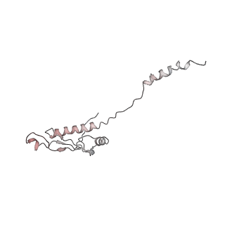 22472_7jt3_8_v1-1
Rotated 70S ribosome stalled on long mRNA with ArfB-1 and ArfB-2 bound in the A site (+9-IV)