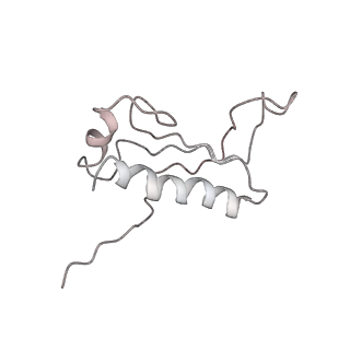 22472_7jt3_9_v1-0
Rotated 70S ribosome stalled on long mRNA with ArfB-1 and ArfB-2 bound in the A site (+9-IV)