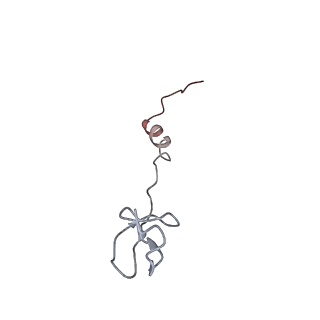 22472_7jt3_B_v1-0
Rotated 70S ribosome stalled on long mRNA with ArfB-1 and ArfB-2 bound in the A site (+9-IV)