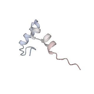 22472_7jt3_D_v1-0
Rotated 70S ribosome stalled on long mRNA with ArfB-1 and ArfB-2 bound in the A site (+9-IV)