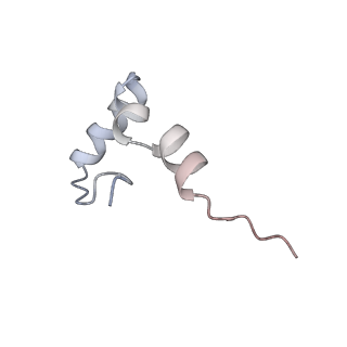 22472_7jt3_D_v1-1
Rotated 70S ribosome stalled on long mRNA with ArfB-1 and ArfB-2 bound in the A site (+9-IV)