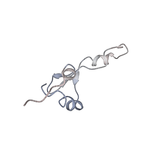 22472_7jt3_E_v1-0
Rotated 70S ribosome stalled on long mRNA with ArfB-1 and ArfB-2 bound in the A site (+9-IV)