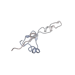 22472_7jt3_E_v1-1
Rotated 70S ribosome stalled on long mRNA with ArfB-1 and ArfB-2 bound in the A site (+9-IV)