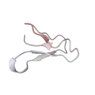 22472_7jt3_F_v1-1
Rotated 70S ribosome stalled on long mRNA with ArfB-1 and ArfB-2 bound in the A site (+9-IV)