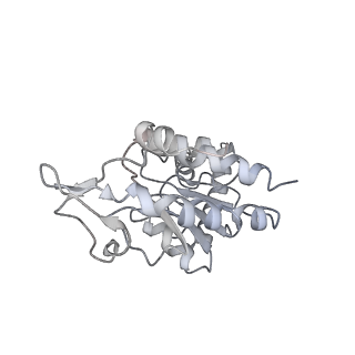 22472_7jt3_G_v1-0
Rotated 70S ribosome stalled on long mRNA with ArfB-1 and ArfB-2 bound in the A site (+9-IV)