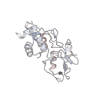 22472_7jt3_I_v1-0
Rotated 70S ribosome stalled on long mRNA with ArfB-1 and ArfB-2 bound in the A site (+9-IV)