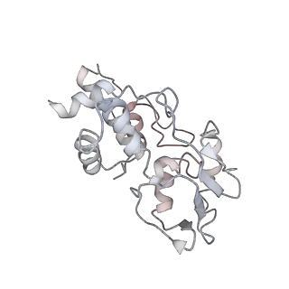22472_7jt3_I_v1-1
Rotated 70S ribosome stalled on long mRNA with ArfB-1 and ArfB-2 bound in the A site (+9-IV)