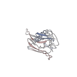 22472_7jt3_J_v1-0
Rotated 70S ribosome stalled on long mRNA with ArfB-1 and ArfB-2 bound in the A site (+9-IV)