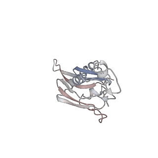 22472_7jt3_J_v1-1
Rotated 70S ribosome stalled on long mRNA with ArfB-1 and ArfB-2 bound in the A site (+9-IV)