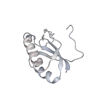 22472_7jt3_K_v1-0
Rotated 70S ribosome stalled on long mRNA with ArfB-1 and ArfB-2 bound in the A site (+9-IV)