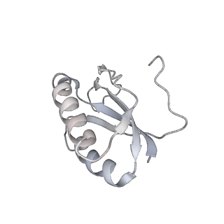 22472_7jt3_K_v1-1
Rotated 70S ribosome stalled on long mRNA with ArfB-1 and ArfB-2 bound in the A site (+9-IV)