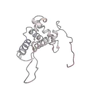 22472_7jt3_L_v1-0
Rotated 70S ribosome stalled on long mRNA with ArfB-1 and ArfB-2 bound in the A site (+9-IV)