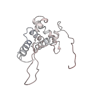 22472_7jt3_L_v1-1
Rotated 70S ribosome stalled on long mRNA with ArfB-1 and ArfB-2 bound in the A site (+9-IV)