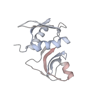 22472_7jt3_M_v1-0
Rotated 70S ribosome stalled on long mRNA with ArfB-1 and ArfB-2 bound in the A site (+9-IV)