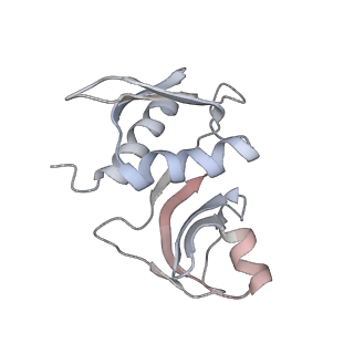 22472_7jt3_M_v1-1
Rotated 70S ribosome stalled on long mRNA with ArfB-1 and ArfB-2 bound in the A site (+9-IV)