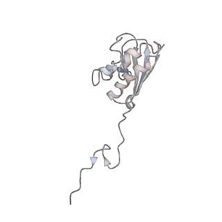 22472_7jt3_N_v1-0
Rotated 70S ribosome stalled on long mRNA with ArfB-1 and ArfB-2 bound in the A site (+9-IV)