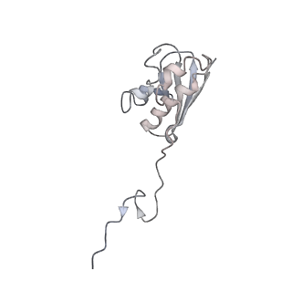 22472_7jt3_N_v1-1
Rotated 70S ribosome stalled on long mRNA with ArfB-1 and ArfB-2 bound in the A site (+9-IV)