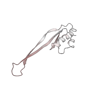 22472_7jt3_O_v1-1
Rotated 70S ribosome stalled on long mRNA with ArfB-1 and ArfB-2 bound in the A site (+9-IV)