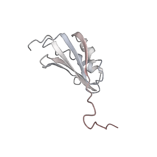 22472_7jt3_P_v1-0
Rotated 70S ribosome stalled on long mRNA with ArfB-1 and ArfB-2 bound in the A site (+9-IV)