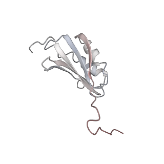 22472_7jt3_P_v1-1
Rotated 70S ribosome stalled on long mRNA with ArfB-1 and ArfB-2 bound in the A site (+9-IV)