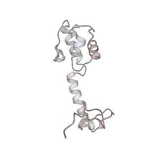 22472_7jt3_R_v1-0
Rotated 70S ribosome stalled on long mRNA with ArfB-1 and ArfB-2 bound in the A site (+9-IV)