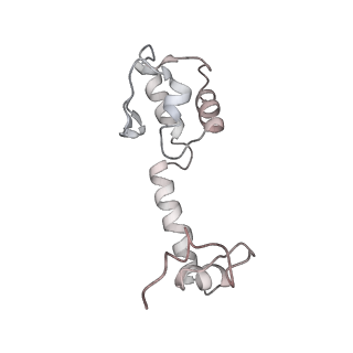 22472_7jt3_R_v1-1
Rotated 70S ribosome stalled on long mRNA with ArfB-1 and ArfB-2 bound in the A site (+9-IV)