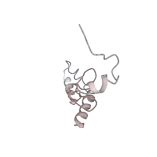 22472_7jt3_S_v1-0
Rotated 70S ribosome stalled on long mRNA with ArfB-1 and ArfB-2 bound in the A site (+9-IV)