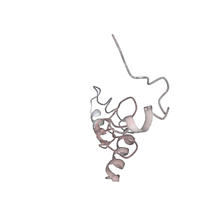 22472_7jt3_S_v1-1
Rotated 70S ribosome stalled on long mRNA with ArfB-1 and ArfB-2 bound in the A site (+9-IV)