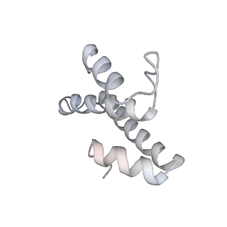 22472_7jt3_T_v1-0
Rotated 70S ribosome stalled on long mRNA with ArfB-1 and ArfB-2 bound in the A site (+9-IV)
