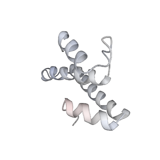 22472_7jt3_T_v1-1
Rotated 70S ribosome stalled on long mRNA with ArfB-1 and ArfB-2 bound in the A site (+9-IV)