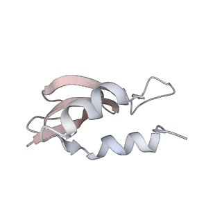 22472_7jt3_U_v1-0
Rotated 70S ribosome stalled on long mRNA with ArfB-1 and ArfB-2 bound in the A site (+9-IV)