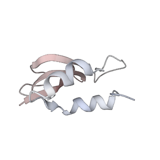 22472_7jt3_U_v1-1
Rotated 70S ribosome stalled on long mRNA with ArfB-1 and ArfB-2 bound in the A site (+9-IV)