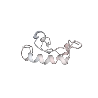 22472_7jt3_W_v1-0
Rotated 70S ribosome stalled on long mRNA with ArfB-1 and ArfB-2 bound in the A site (+9-IV)