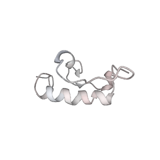 22472_7jt3_W_v1-1
Rotated 70S ribosome stalled on long mRNA with ArfB-1 and ArfB-2 bound in the A site (+9-IV)